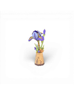 PURPLE IRIS